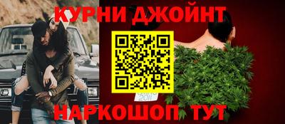 трава Кингисепп