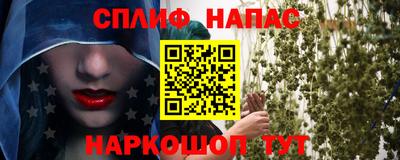 трава Кингисепп