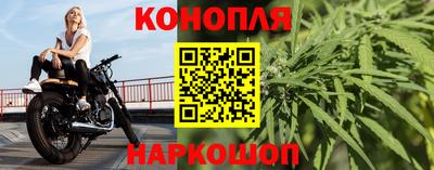 трава Кингисепп