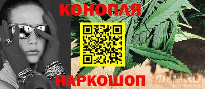трава Кингисепп