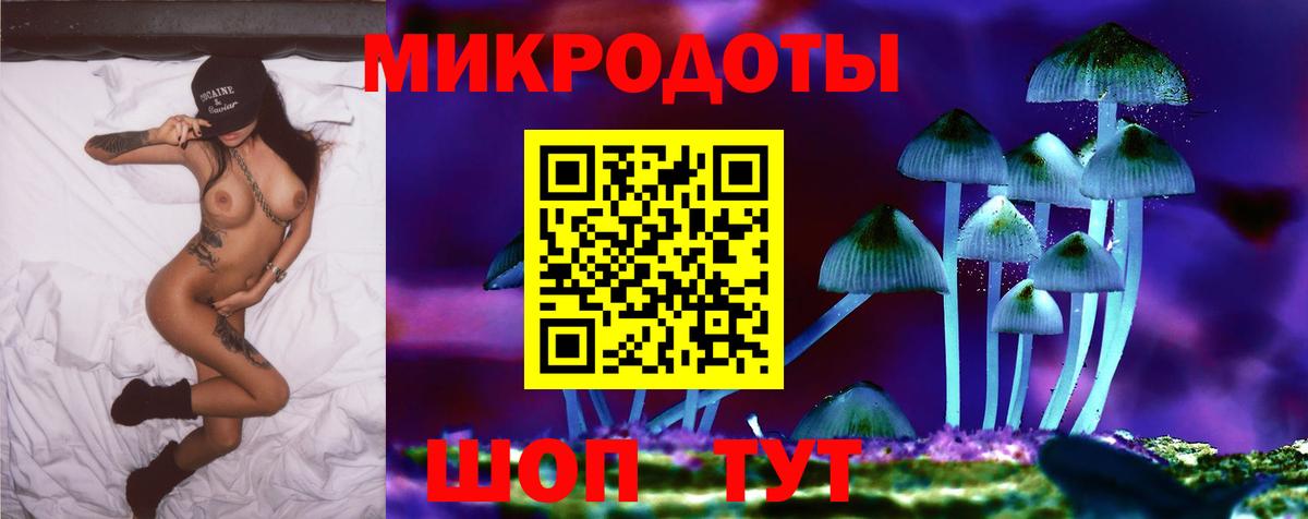Красный Сулин  Псилоцибиновые грибы Magic Shrooms  продажа наркотиков  Вход с VPN  Галлюциногенные грибы прущие грибы 