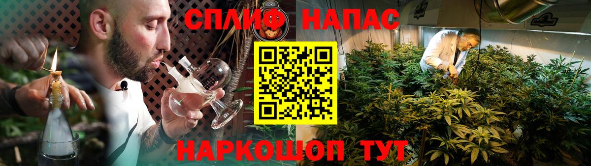 Бошки марихуана SATIVA & INDICA  Бошки Шишки Bruce Banner  Вход с VPN  Бошки марихуана семена  Красный Сулин 